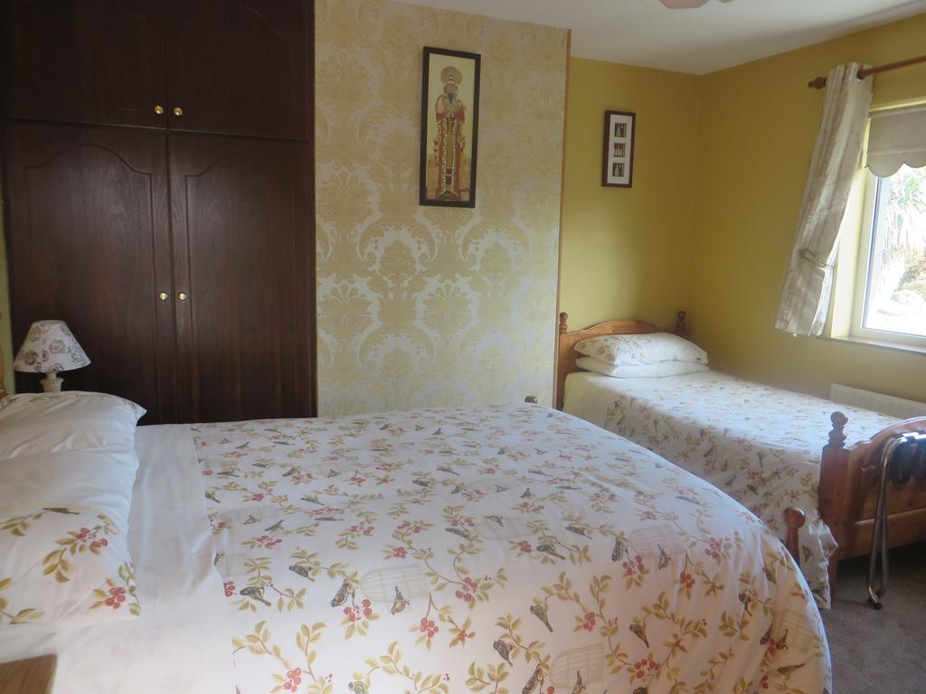 Kilmeaden Dawn House B&B المظهر الخارجي الصورة